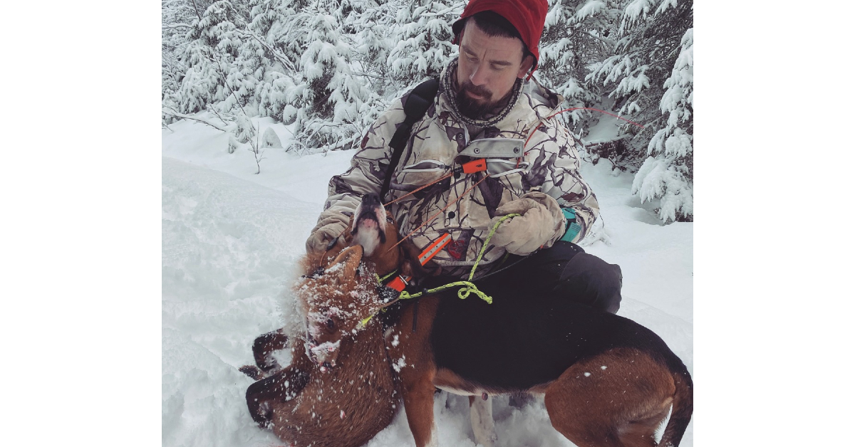 Jakt på rev, gaupe og bjørn med Jo Sigve Østerås