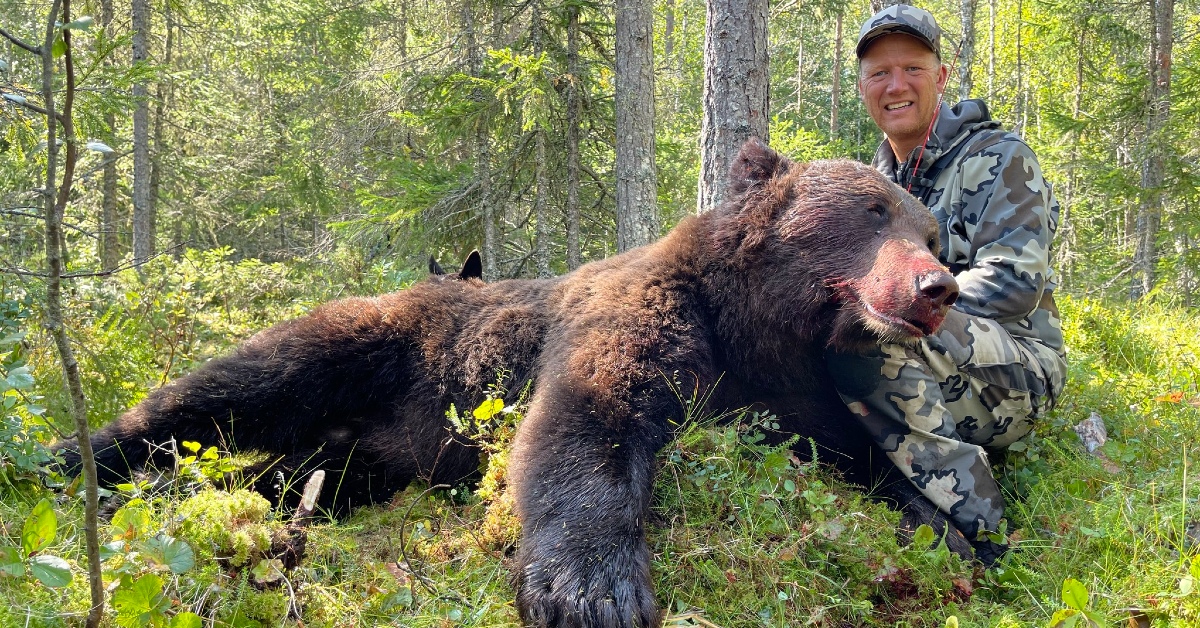 Jakt etter bjørn, elg, hjort, muflon, ulv, villsvin og dåhjort med Joakim Sveder