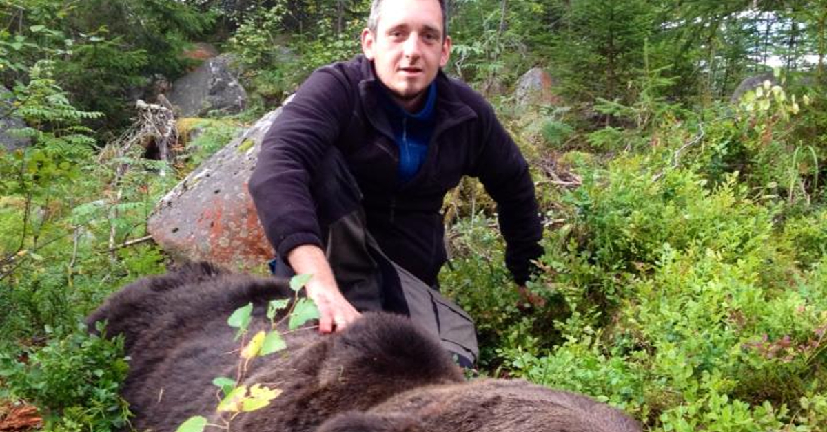 Jakt på rev, elg og bjørn med Roy Ytterdahl