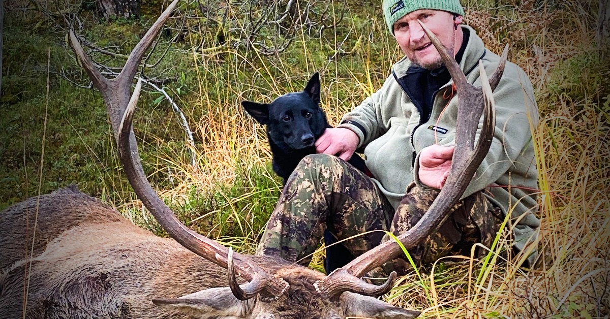 Hjortejakt med Kjell Inge Søvik