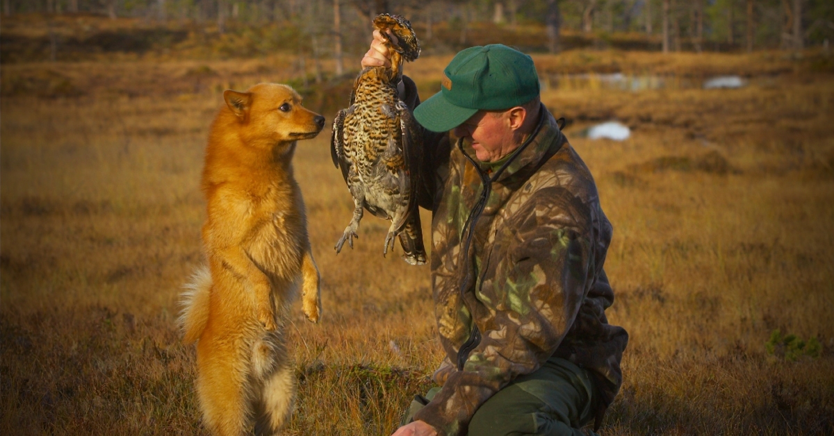 Skogsfugljakt med Roy Vebjørn Kveliaunet