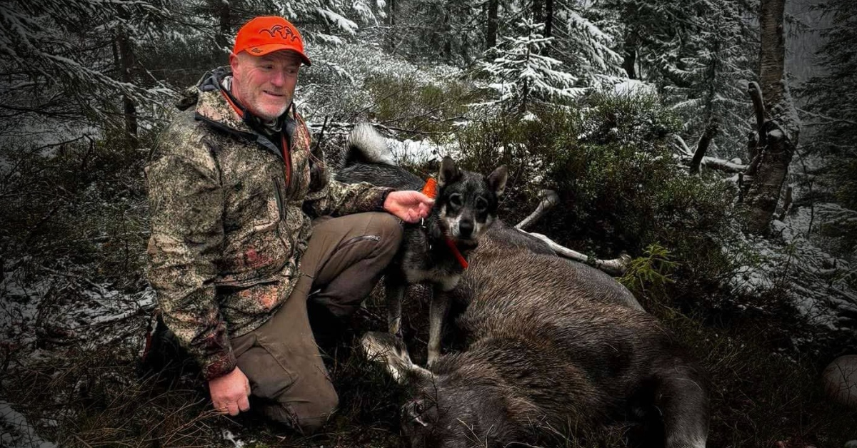 Jakt på hjort, elg, bjørn, ulv og jakt i Skottland med Ronald Ødegård
