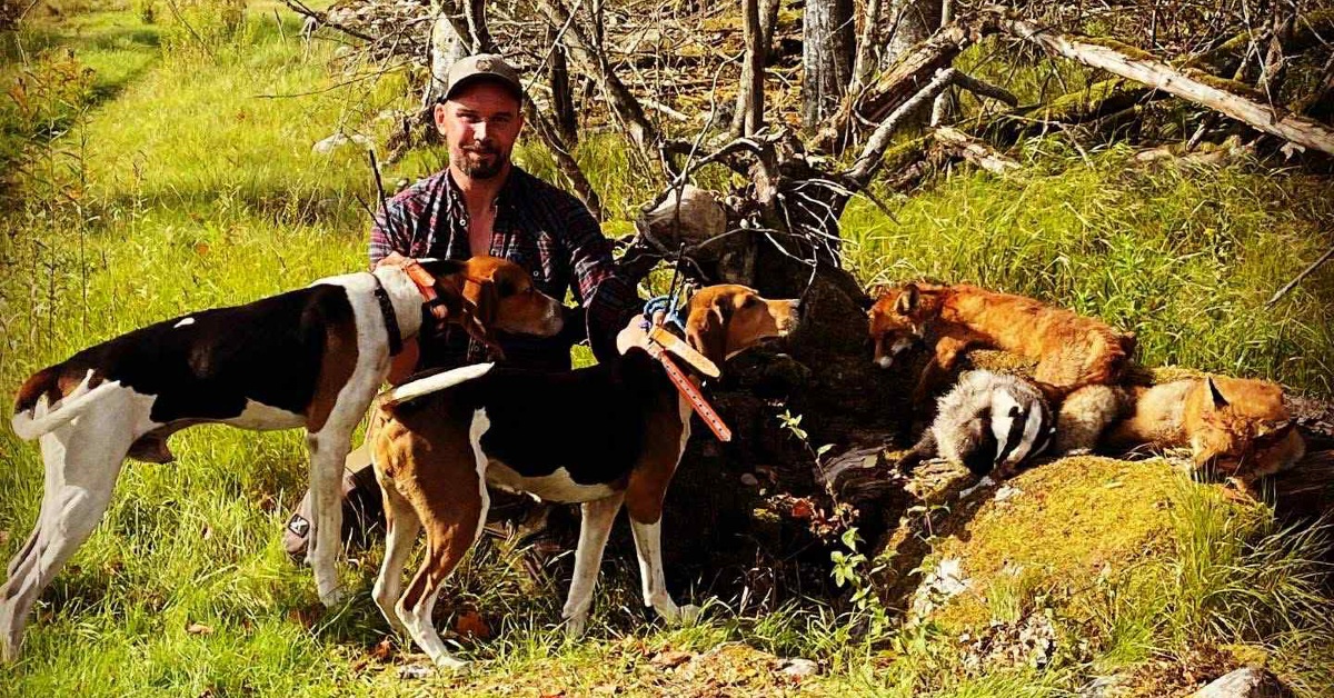 Treeing Walker Coonhound og jakt på rev og gaupe med Bjørn Lindberg