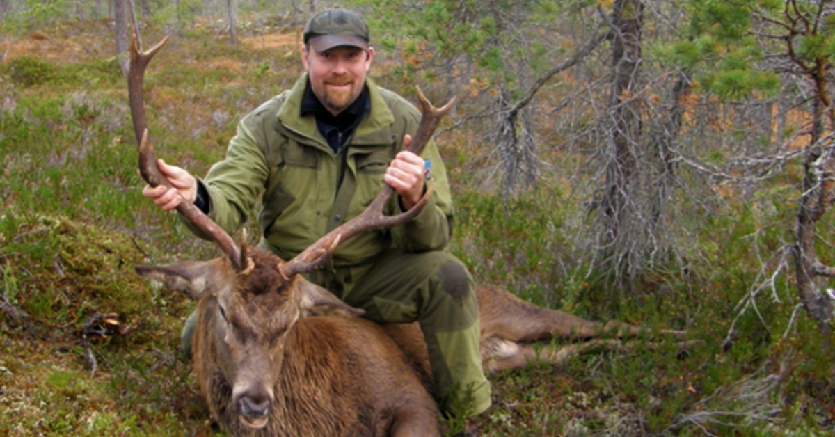 Hjort og gaupe med Erling Meisingset