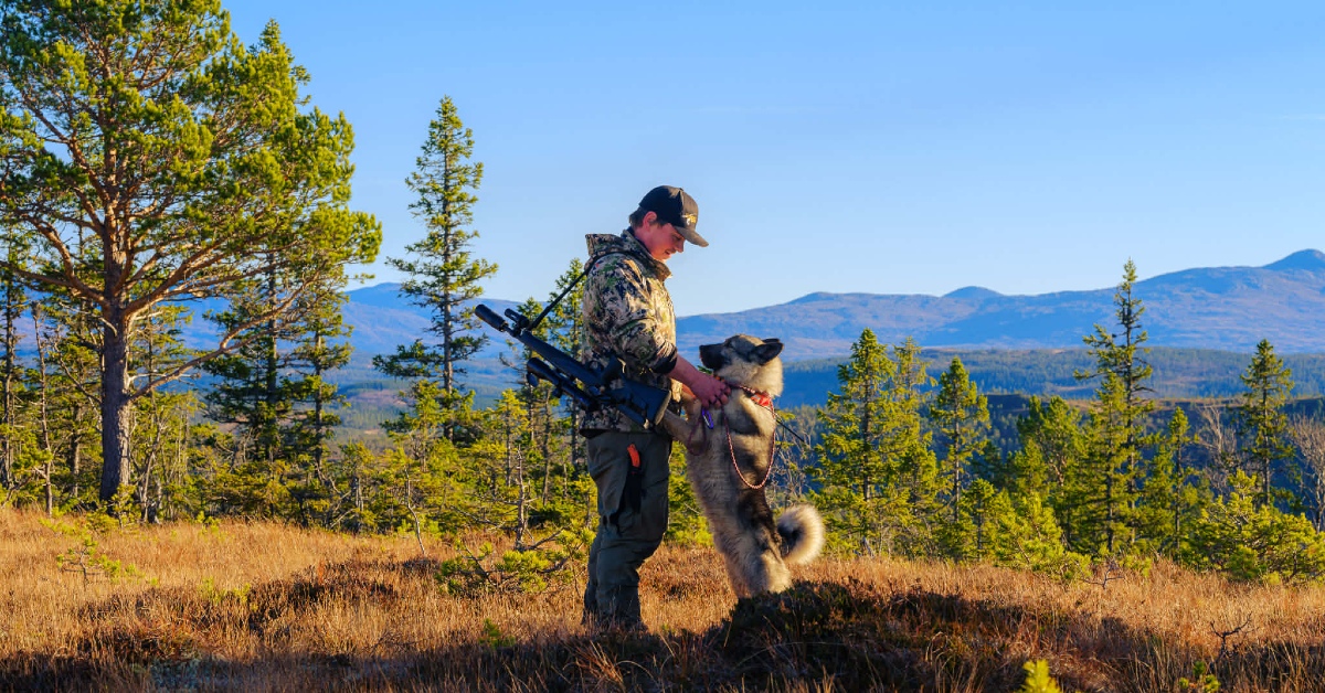 Skyting, hunder, guiding og rovvilt med Jim Are Skjerve Dullum