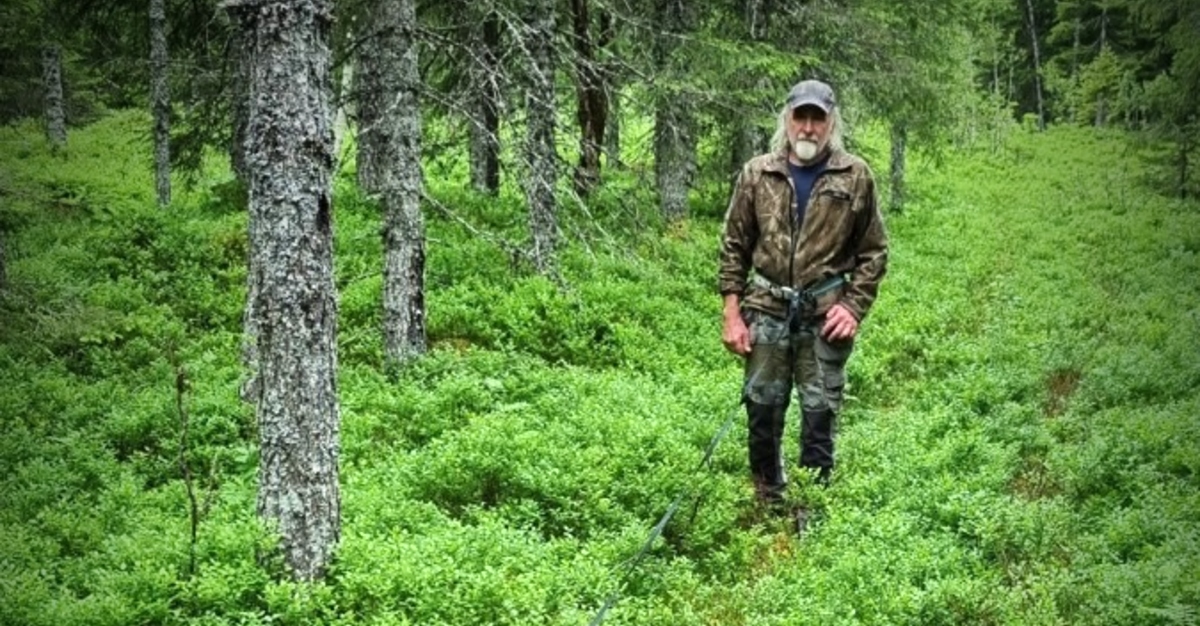 Ettersøk, hunder og elgjakt med Svein Helge Skarland