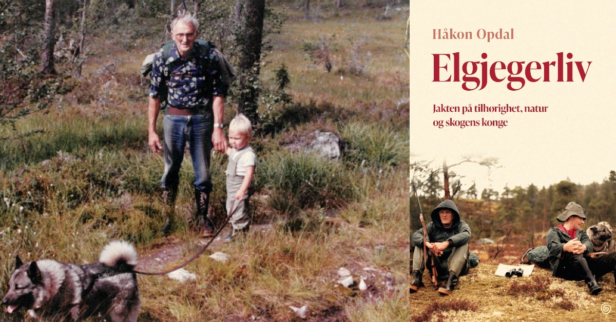 Jakten på tilhørighet, natur og skogens konge med Håkon Opdal