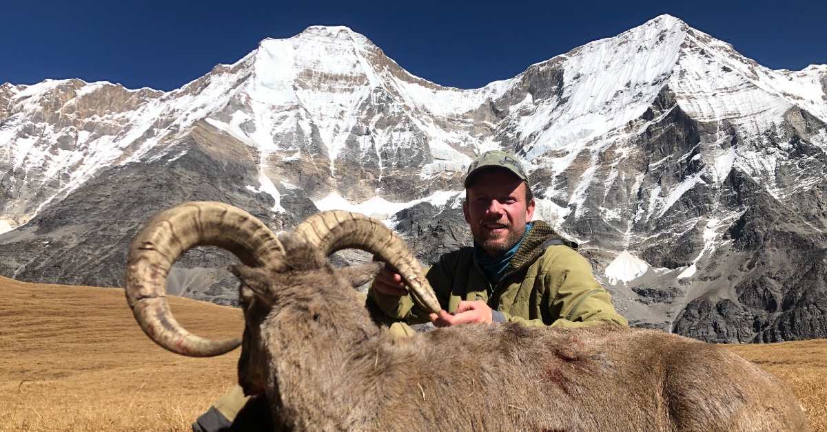 Utstopping, Grand Slam og eventyr med Espen Lynne