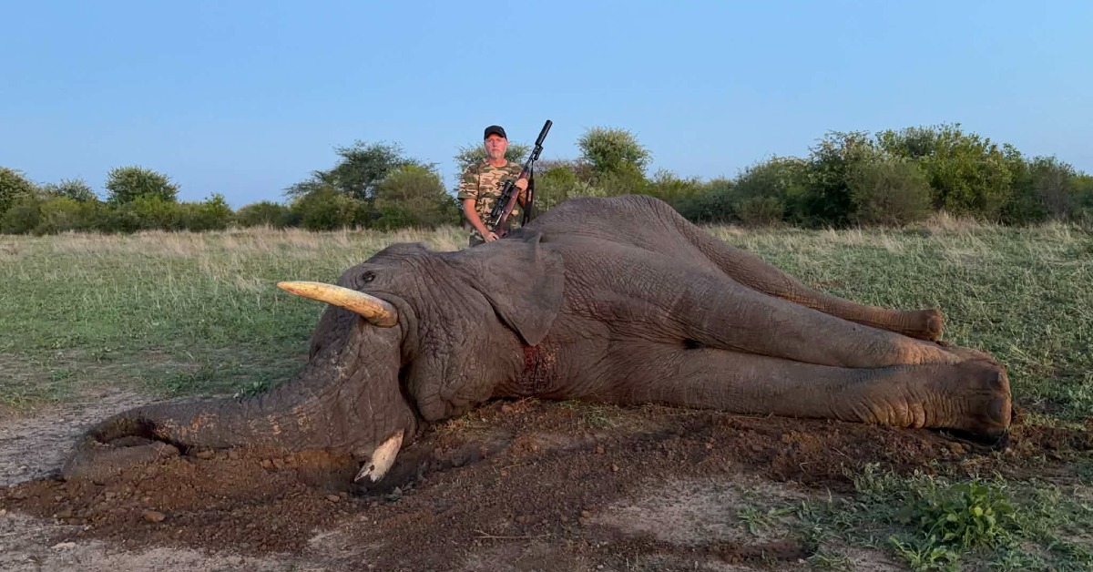 Fra ulv til elefant og det meste i mellom med Kristoffer Clausen