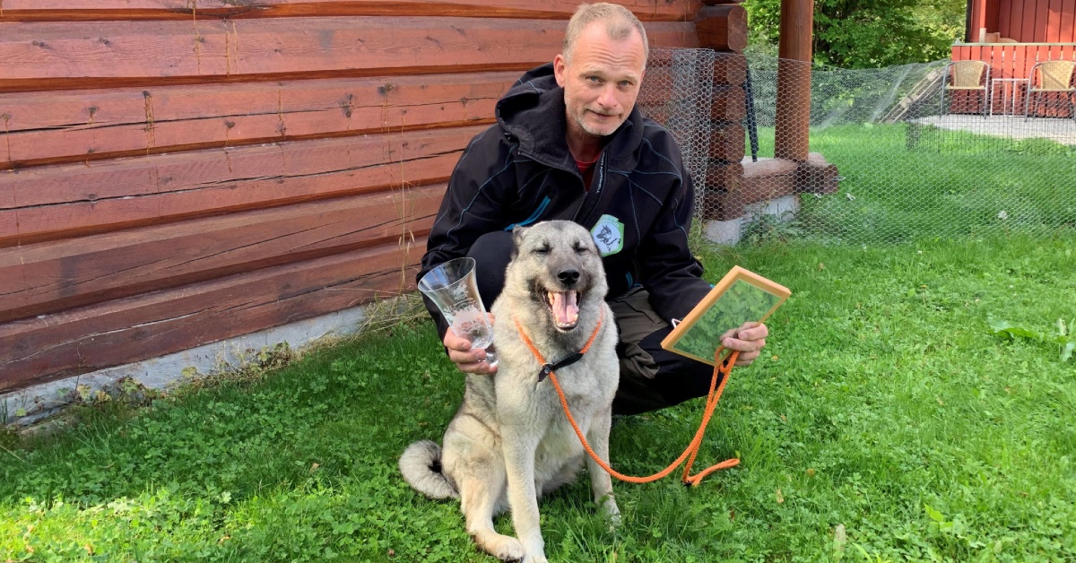 Løshund, bandhund og jaktprøveregler med Bjørn Grue