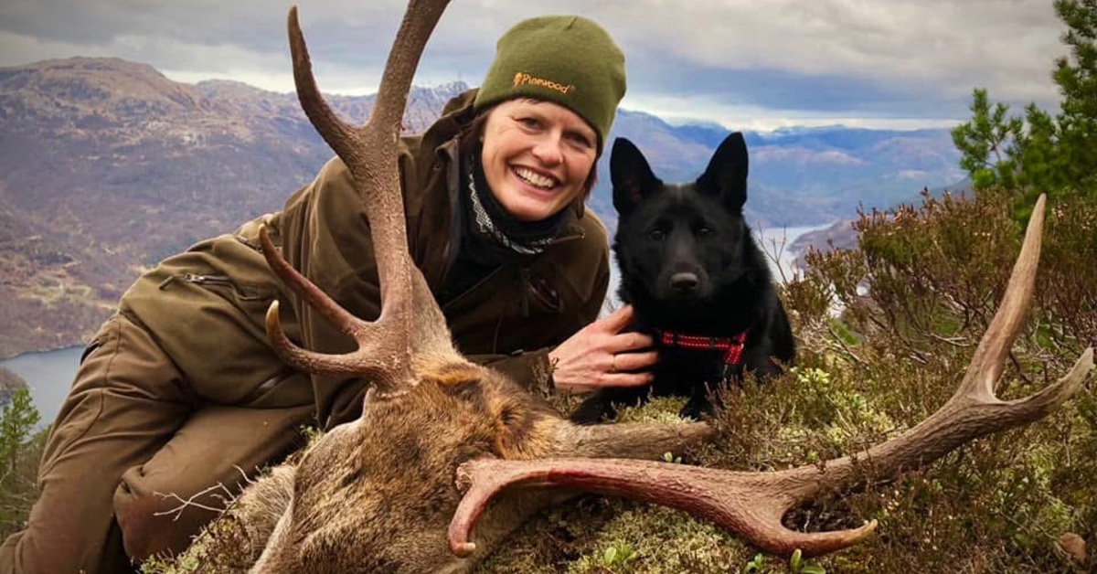 Norsk elghund sort og båndhundjakt med Anita Lie