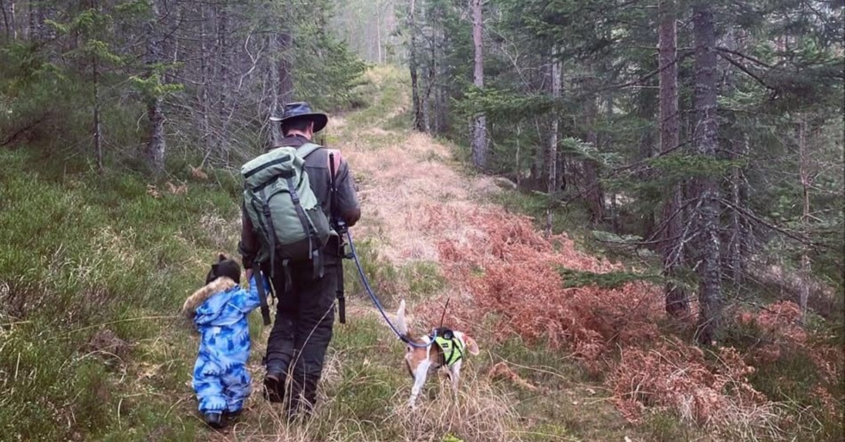 Beagle, rådyr, hare og knivsaken med Thormod Moi Felle