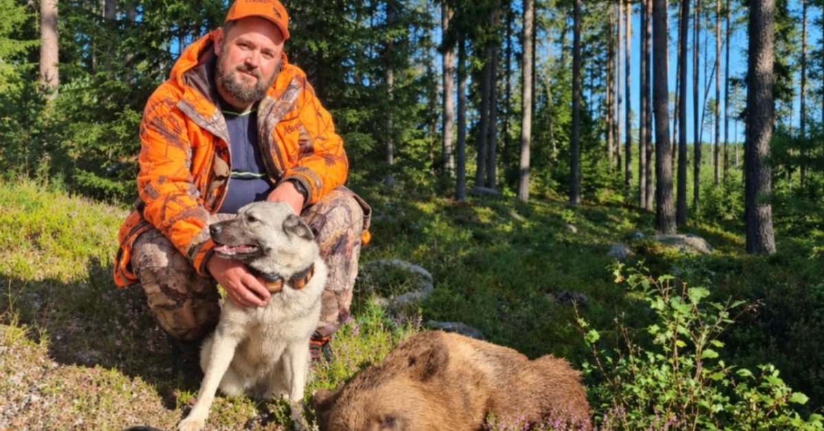 Elgjakt, jaktprøver og oppdrett med Tony Hageberg